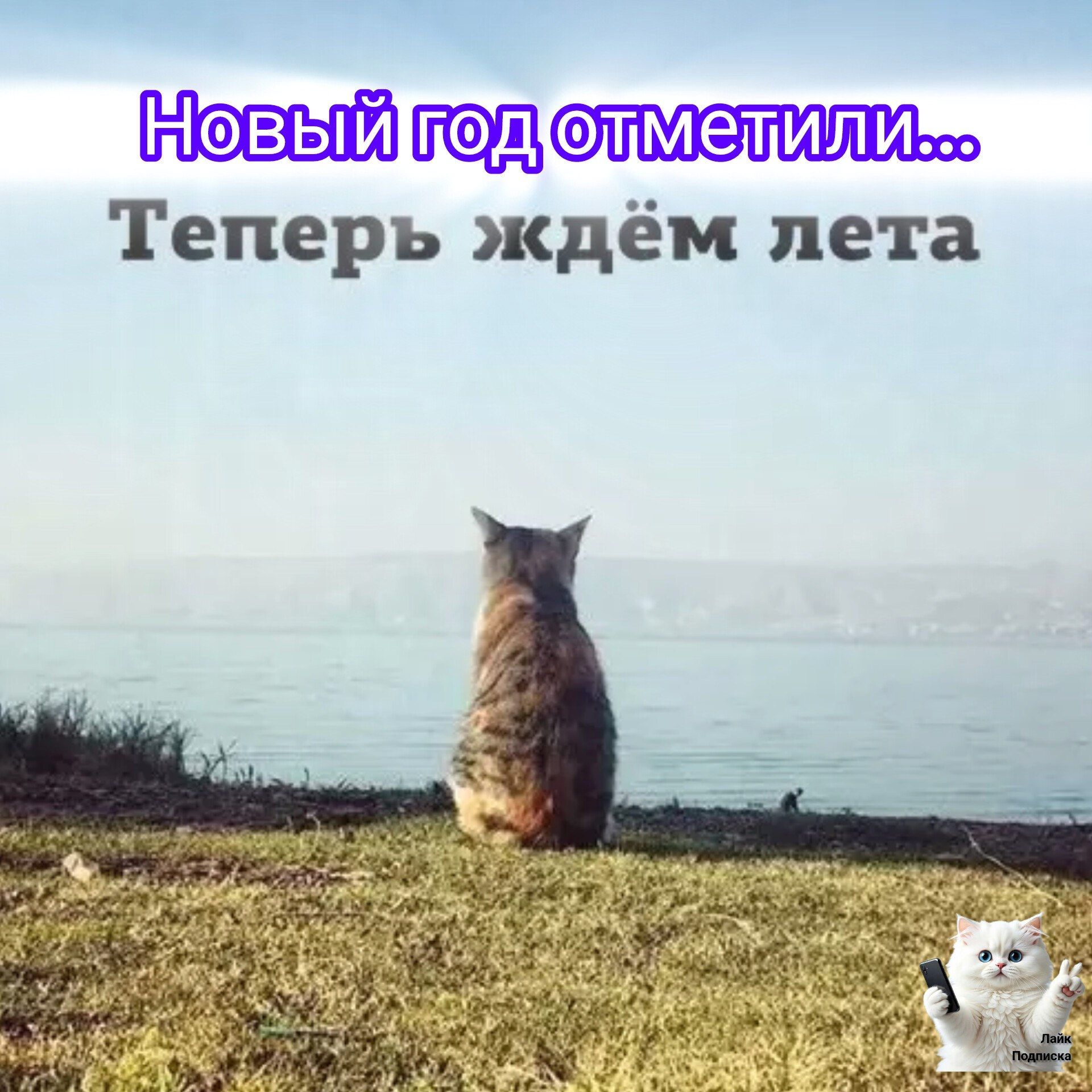 Новый год отметили... Теперь ждём лета