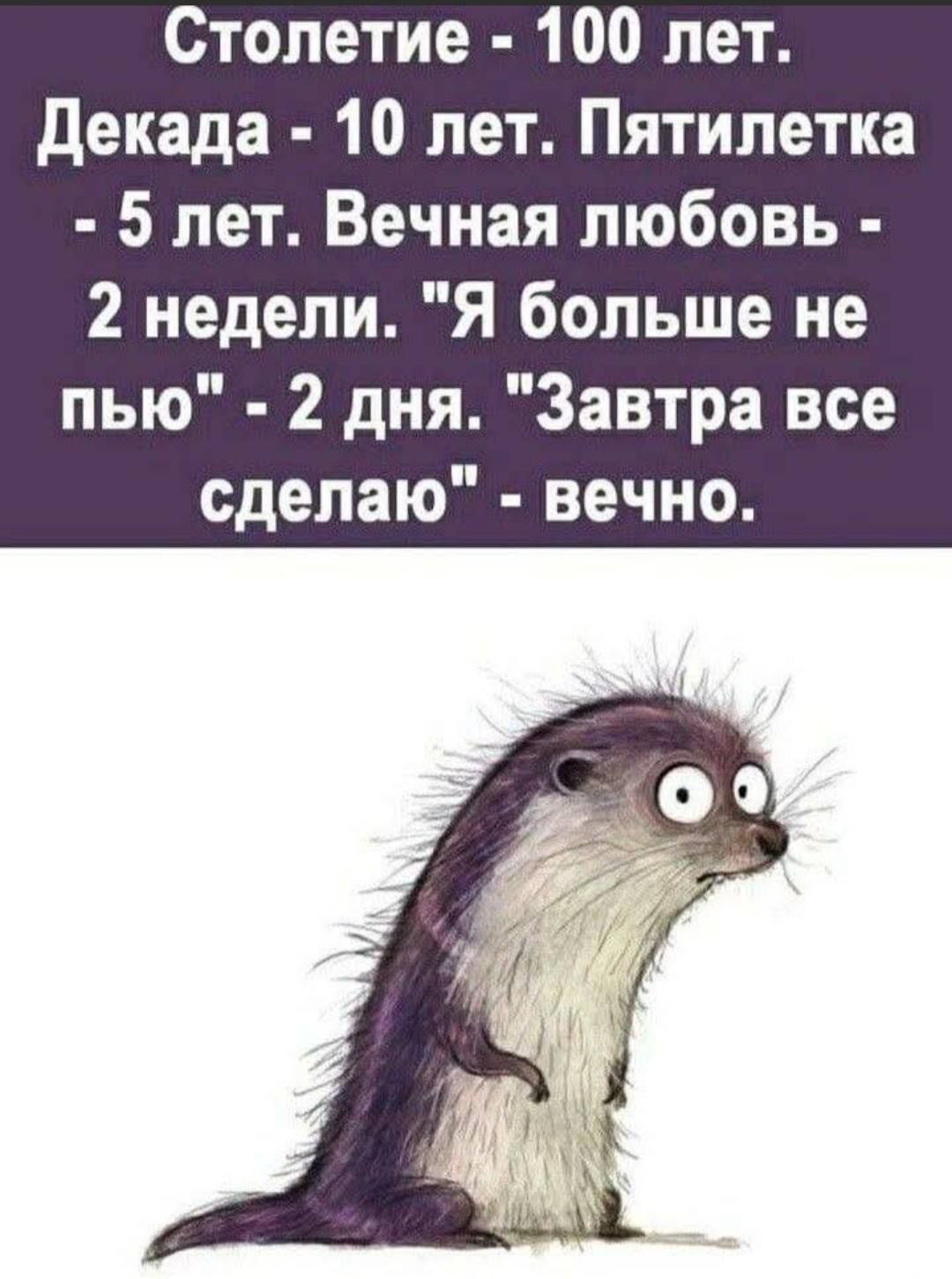 Столетие - 100 лет. Декада - 10 лет. Пятилетка - 5 лет. Вечная любовь - 2 недели. 'Я больше не пью' - 2 дня. 'Завтра все сделаю' - вечность.