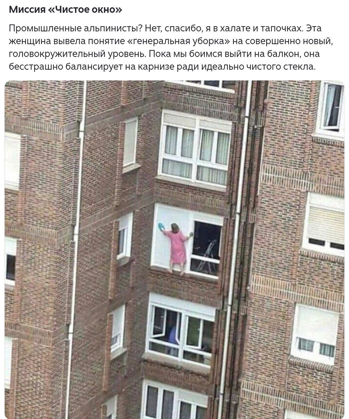 Миссия «Чистое окно»\nПромышленные альпинисты? Нет, спасибо, я в халате и тапочках. Эта женщина вывела понятие «генеральная уборка» на совершенно новый, головокружительный уровень. Пока я боюсь выйти на балкон, она бесстрашно балансирует на карнизе ради идеального чистого стекла.
