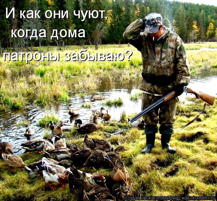 И как они чуют, когда дома патроны забываю?
