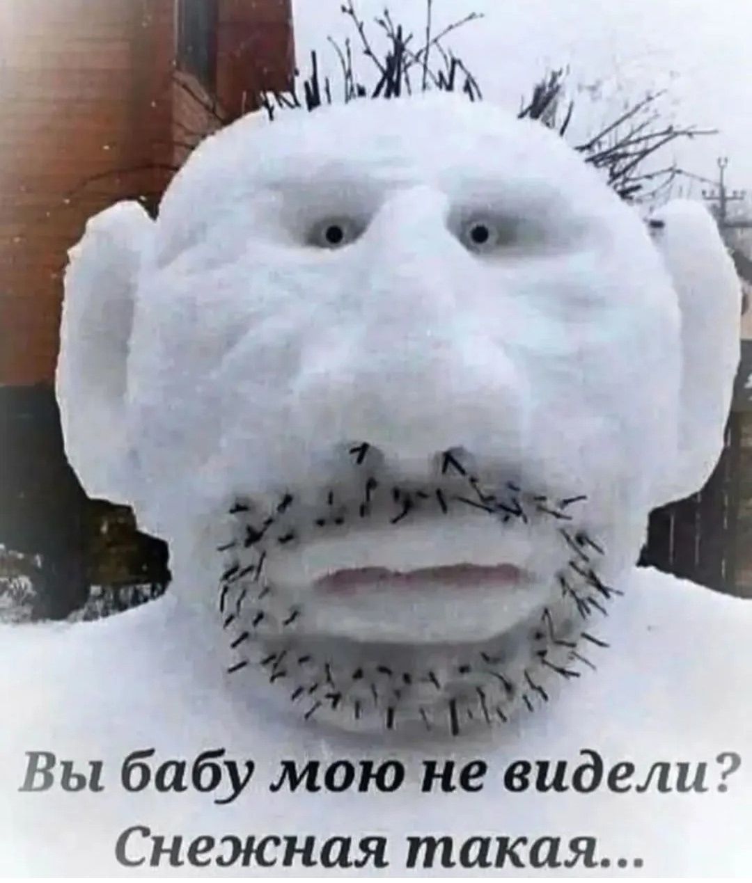 Вы бабу не видели? Снежная такая...