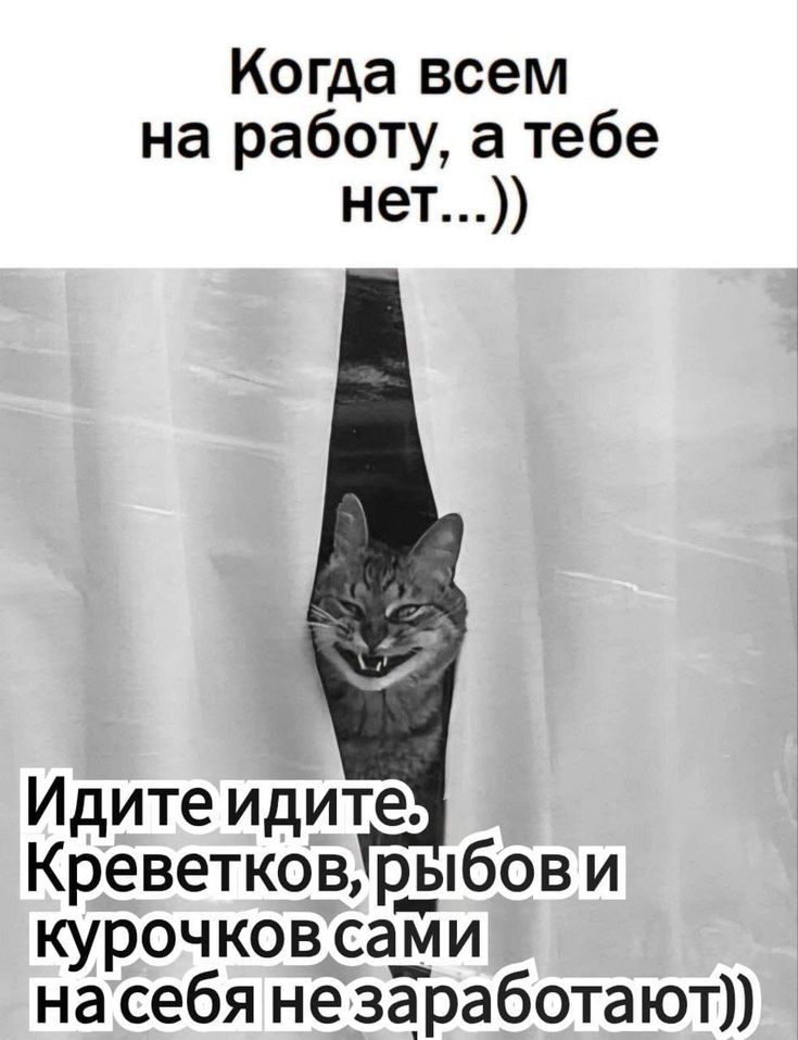 Когда всем на работу, а тебе нет...)) Идите идите. Креветков, рыбов и курочек сами на себя не заработают))