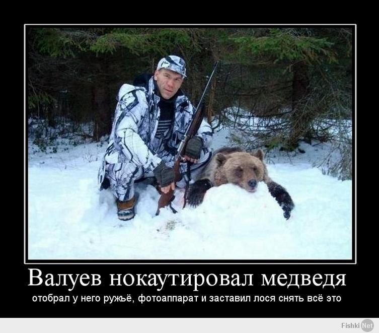 Валуев нокаутировал медведя\nотобрал у него ружьё, фотоаппарат и заставил лося снять всё это