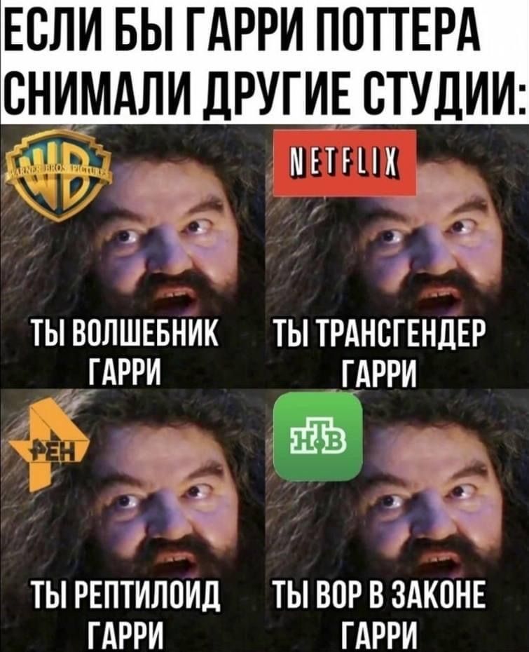 ЕСЛИ БЫ ГАРРИ ПОТТЕРА СНИМАЛИ ДРУГИЕ СТУДИИ:\nТЫ ВОЛШЕБНИК ГАРРИ\nТЫ ТРАНСГЕНДЕР ГАРРИ\nТЫ РЕПТИЛОИД ГАРРИ\nТЫ ВОР В ЗАКОНЕ ГАРРИ