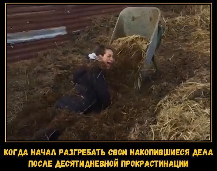 КОГДА НАЧАЛ РАЗГРЕБАТЬ СВОИ НАКОПИВШИЕСЯ ДЕЛА ПОСЛЕ ДЕСЯТИДНЕВНОЙ ПРОКРАСТИНАЦИИ