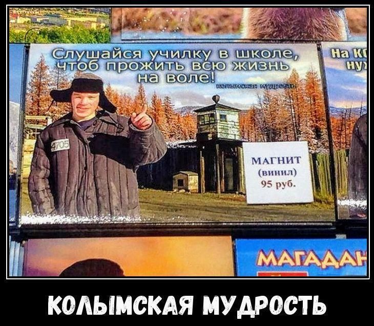 Слушайся училку в школе, чтоб прожить всю жизнь на воле! Магнит винил 95 руб. КОЛЫМСКАЯ МУДРОСТЬ