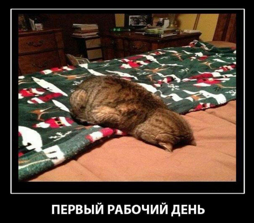 ПЕРВЫЙ РАБОЧИЙ ДЕНЬ