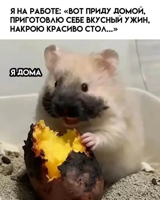 Я НА РАБОТЕ: «ВОТ ПРИДУ ДОЙЙ, ПРИГОТОВЛЮ СЕБЕ ВКУСНЫЙ УЖИН, НАКРОЮ КРАСИВО СТОЛ…»
Я ДОМА