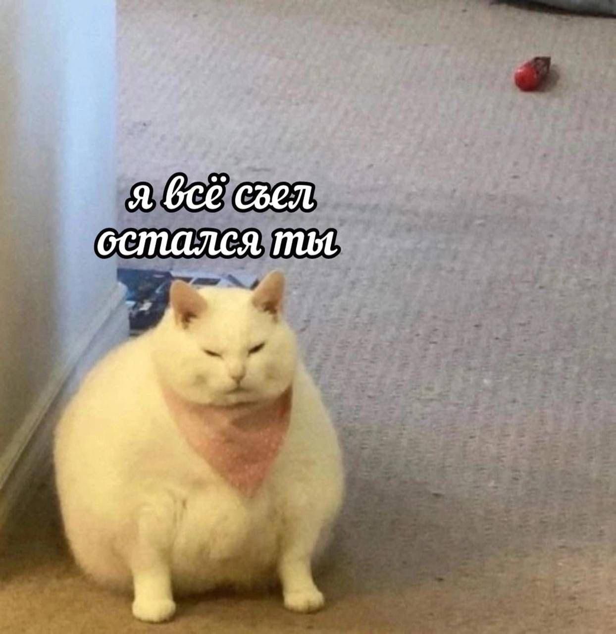 я всё съел
остался ты