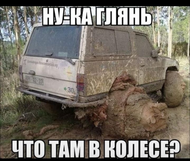 Ну-ка глянь что там в колесе?