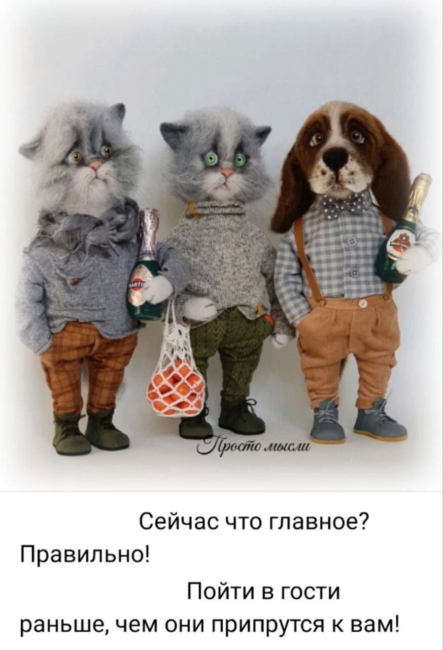 Просто мысли
Сейчас что главное? Правильно! Пойти в гости раньше, чем они придупрутся к вам!