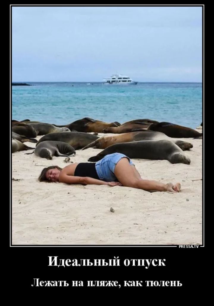 Идеальный отпуск
Лежать на пляже, как тюлень