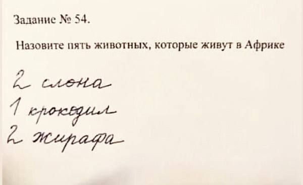 Задание № 54.\nНазвание пять животных, которые живут в Африке\n2 слона\n1 крокодил\n2 жирафа