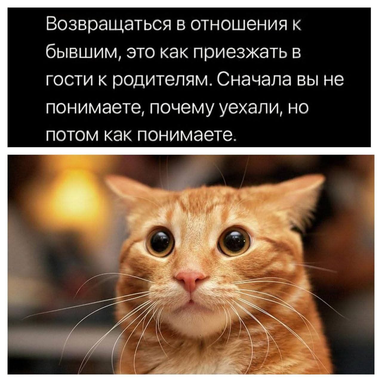 Возвращаться в отношения к бывшим, это как приезжать в гости к родителям. Сначала вы не понимаете, почему уехали, но потом как понимаете.