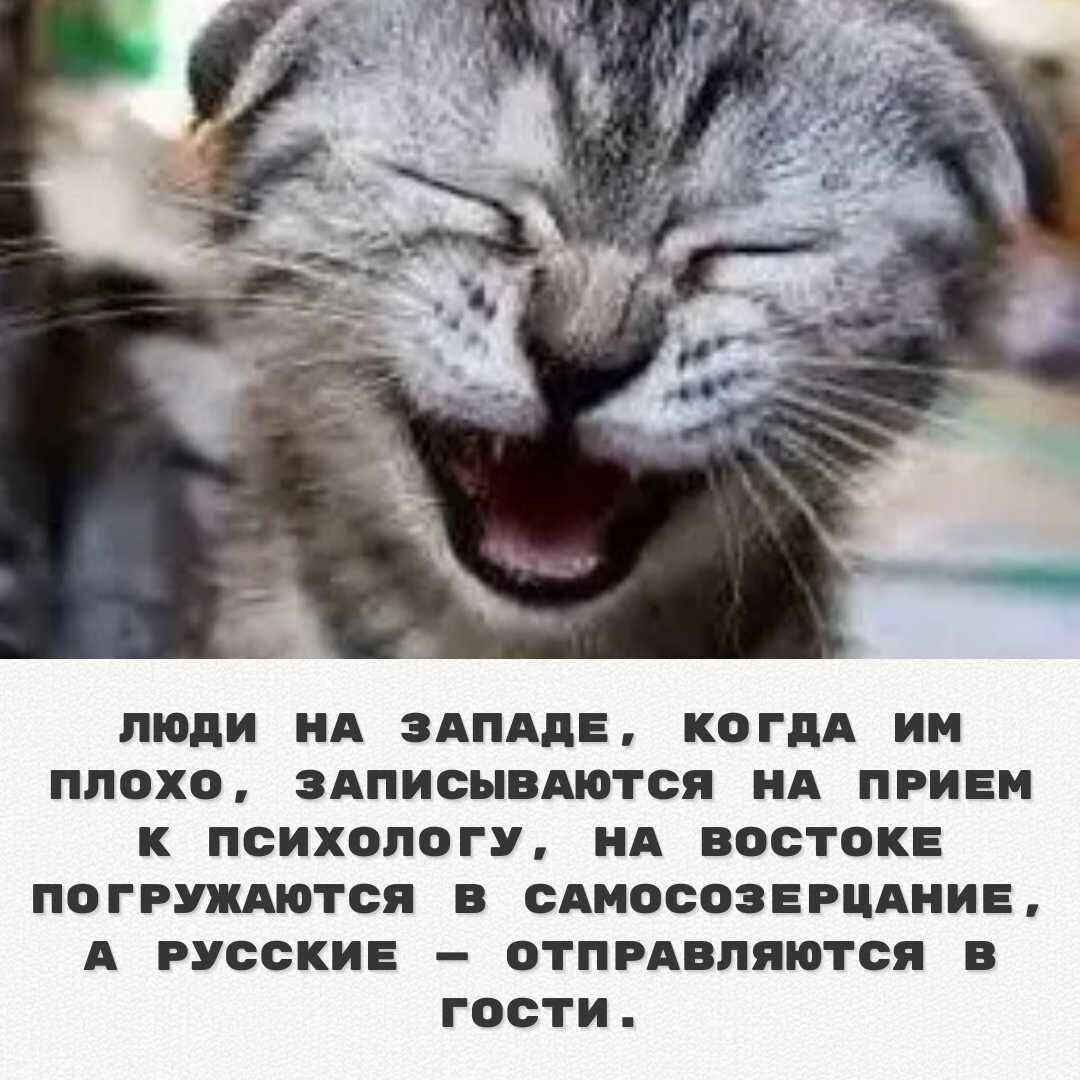 люди на западе, когда им плохо, записываются на прием к психологу, на востоке погружаются в самосозерцание, а русские – отправляются в гости.