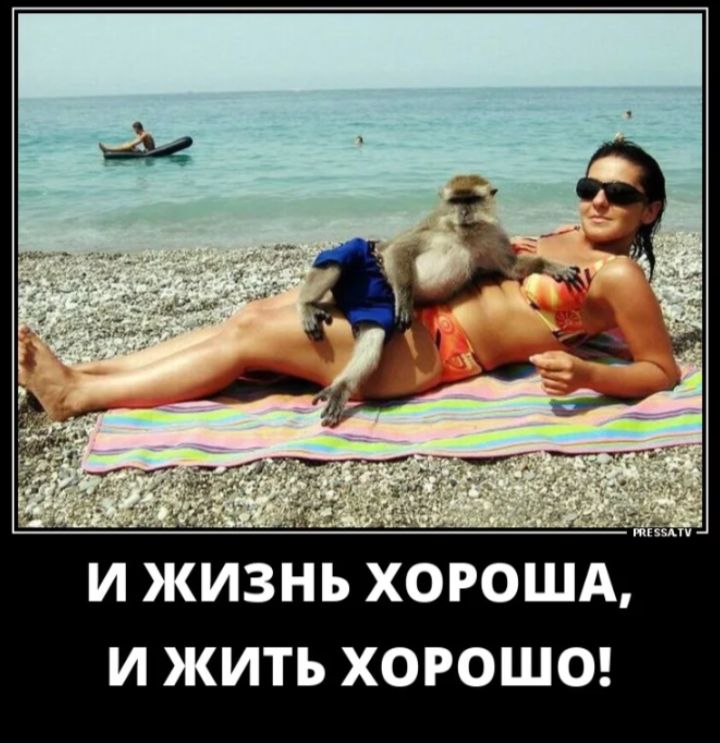 И ЖИЗНЬ ХОРОША, И ЖИТЬ ХОРОШО!
