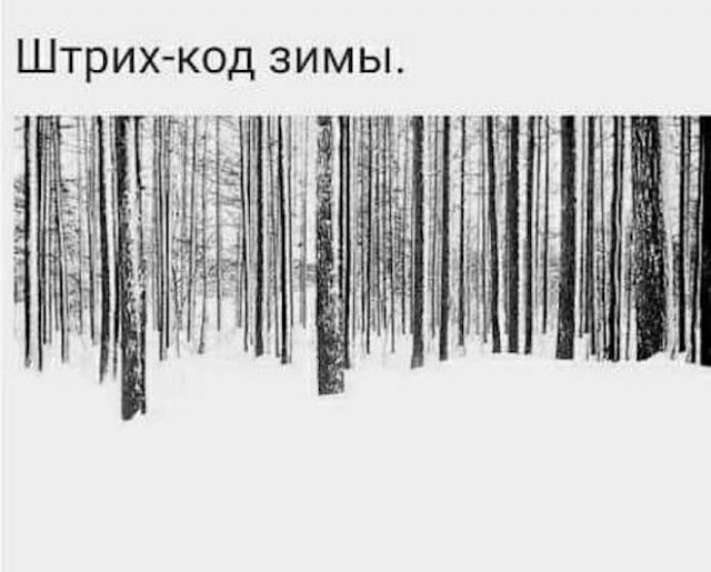 Штрих-код зимы.