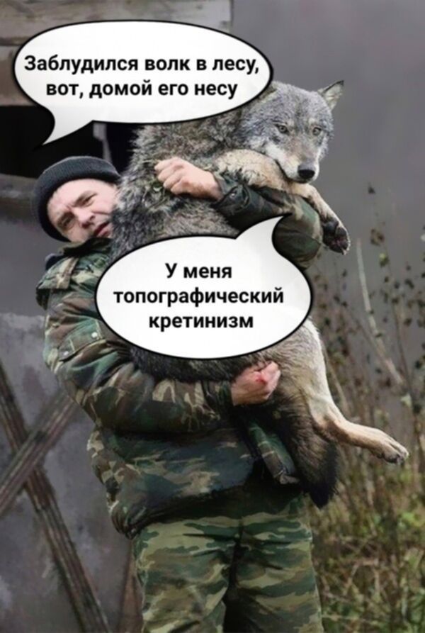 Заблудился волк в лесу, вот, домой его несу
У меня топографический кретинизм