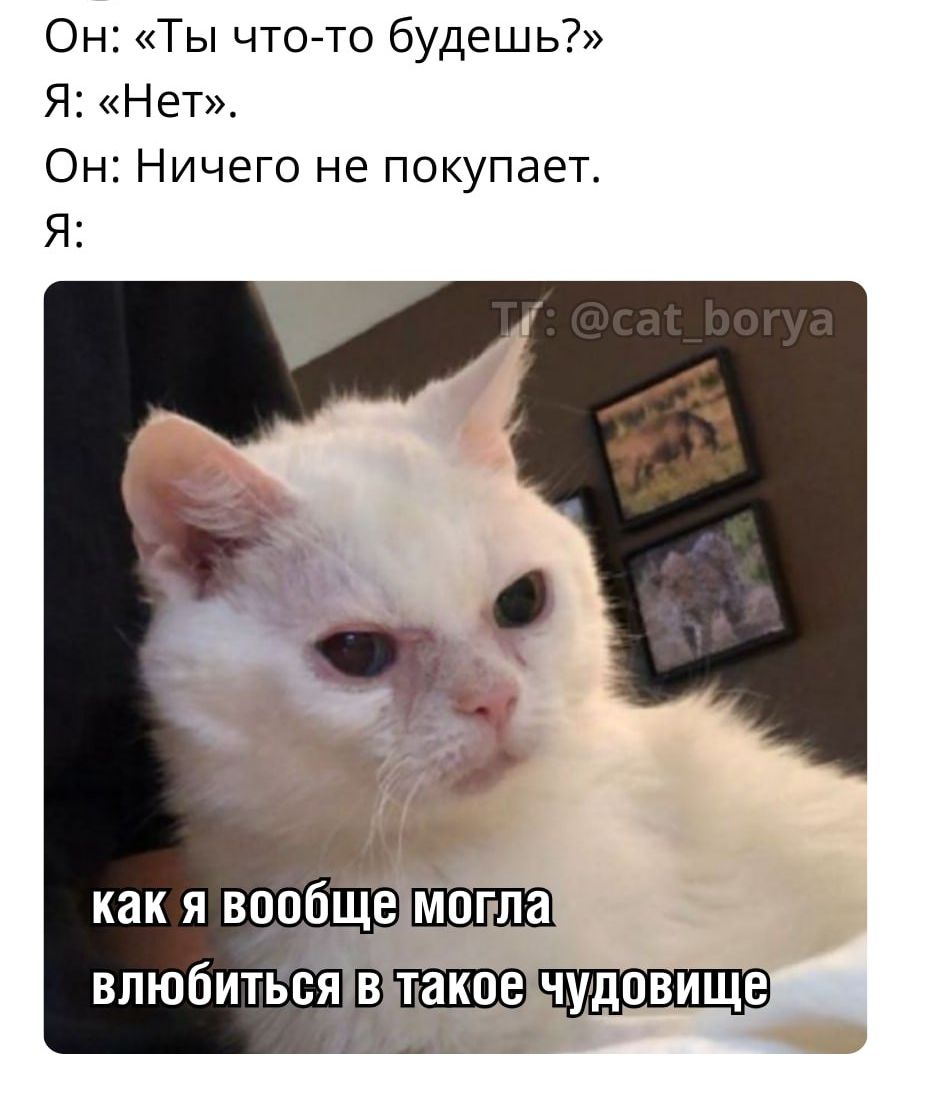 Он: «Ты что-то будешь?» Я: «НЕТ».
Он: Ничего не покупает.
Я: как я вообще могла влюбиться в такое чудовище