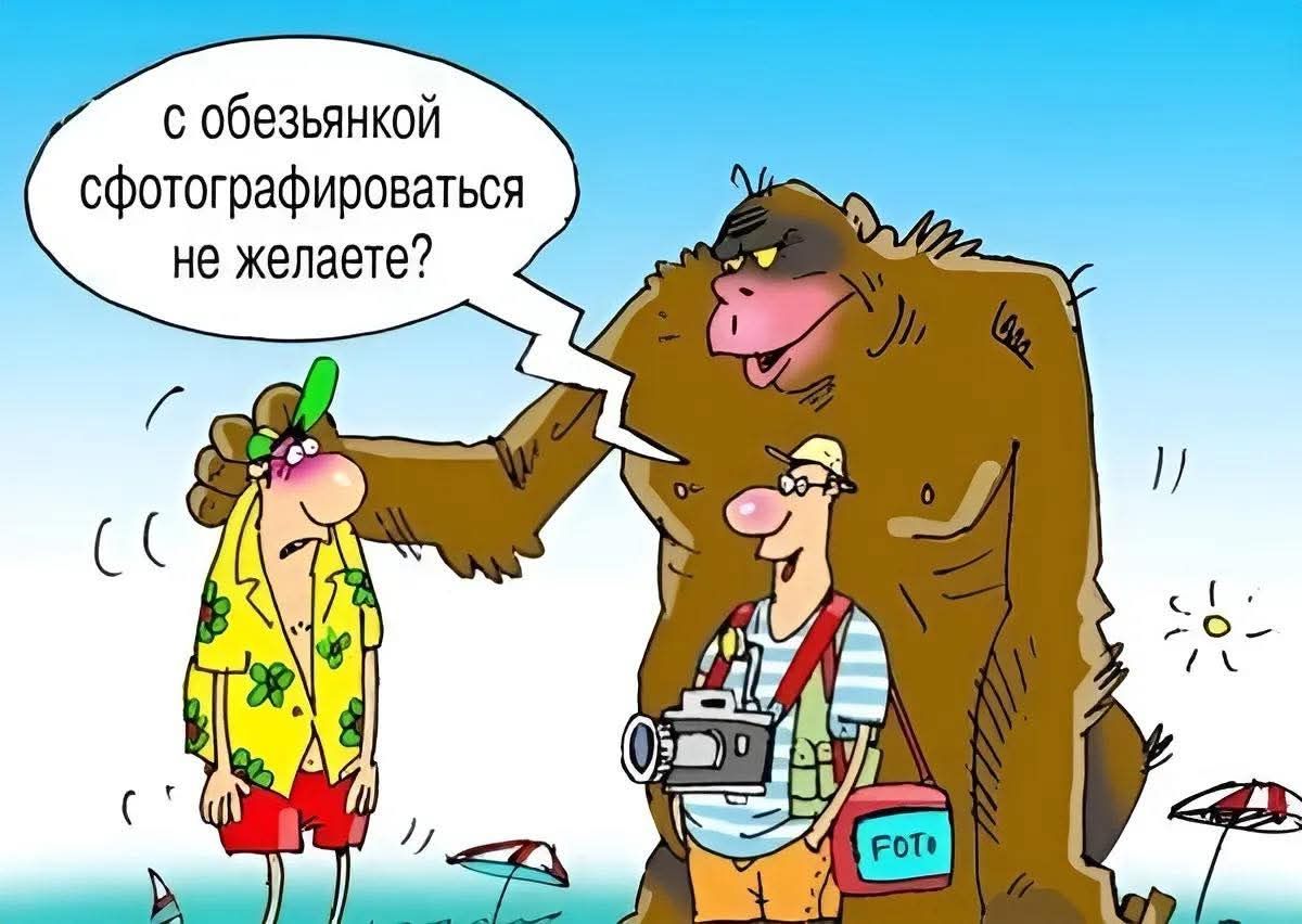 с обезьянкой сфотографироваться не желаете?