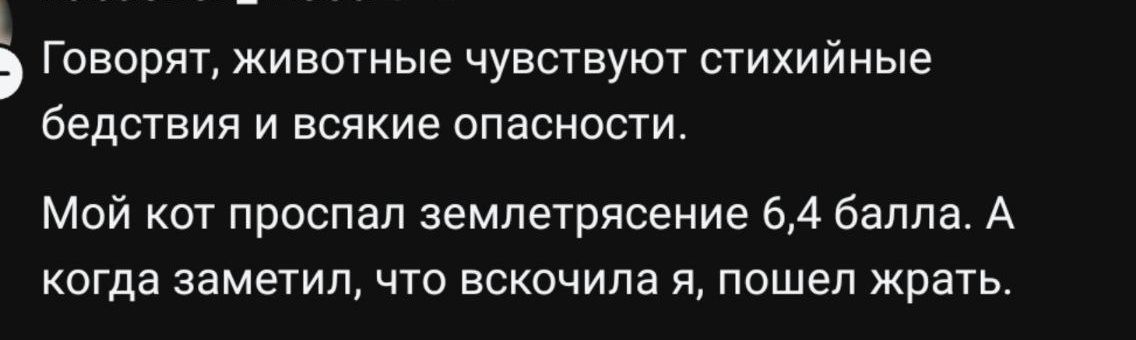 Говорят, животные чувствуют стихийные бедствия и всякие опасности. Мой кот проспал землетрясение 6,4 балла. А когда заметил, что вскочила я, пошел жрать.