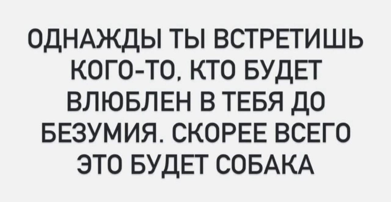 Однажды ты встретишь кого-то, кто будет влюблен в тебя до безумия. Скорее всего это будет собака