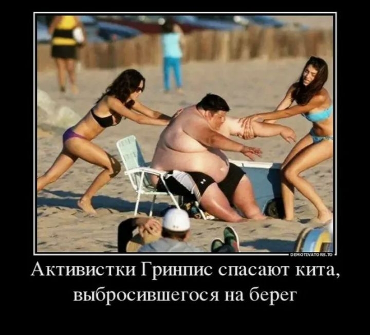 Активистки Гринпис спасают китa, выбросившегося на берег