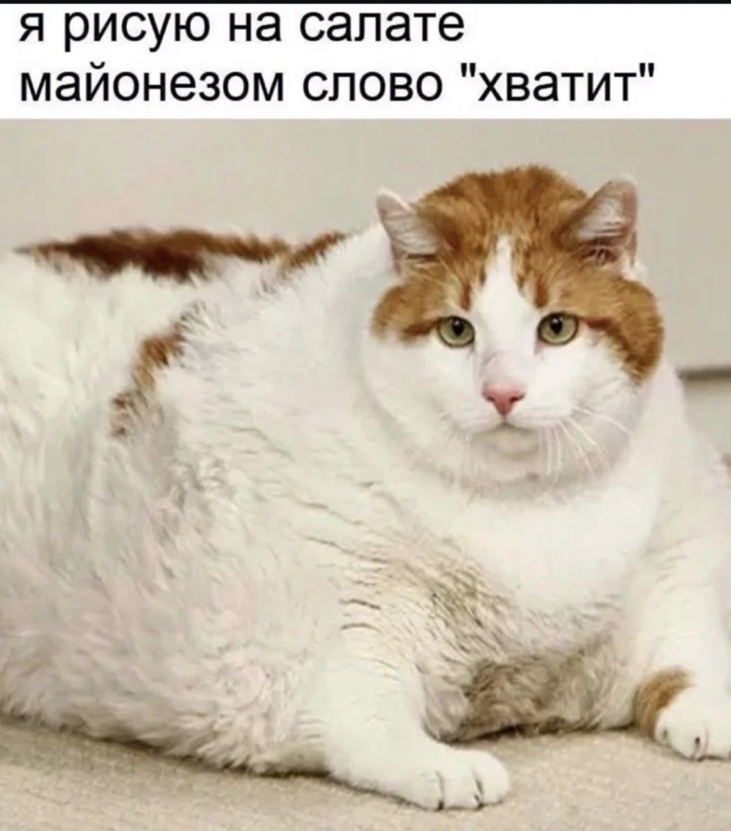 я рисую на салате майонезом слово 