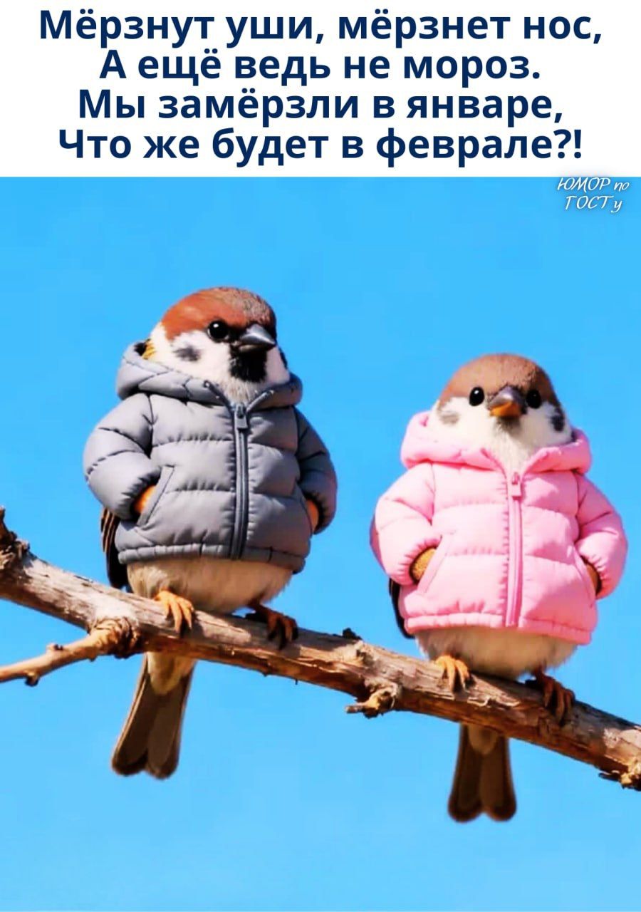 Мёрзнуть уши, мёрзнет нос, 
А ещё ведь не мороз. 
Мы замёрзли в январе, 
Что же будет в феврале?!