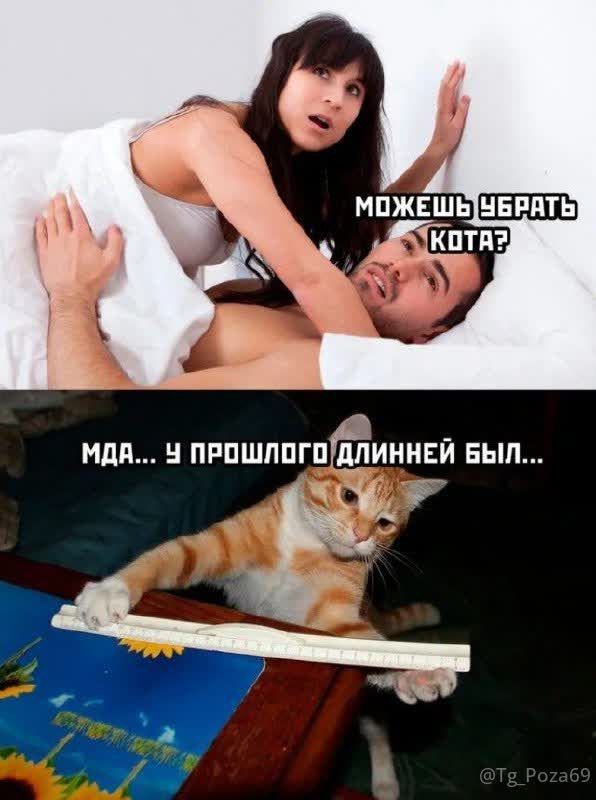 МОЖЕШЬ УБРАТЬ КОТА?
МДА... У ПРОШЛОГО ДЛИННЕЙ БЫЛ...