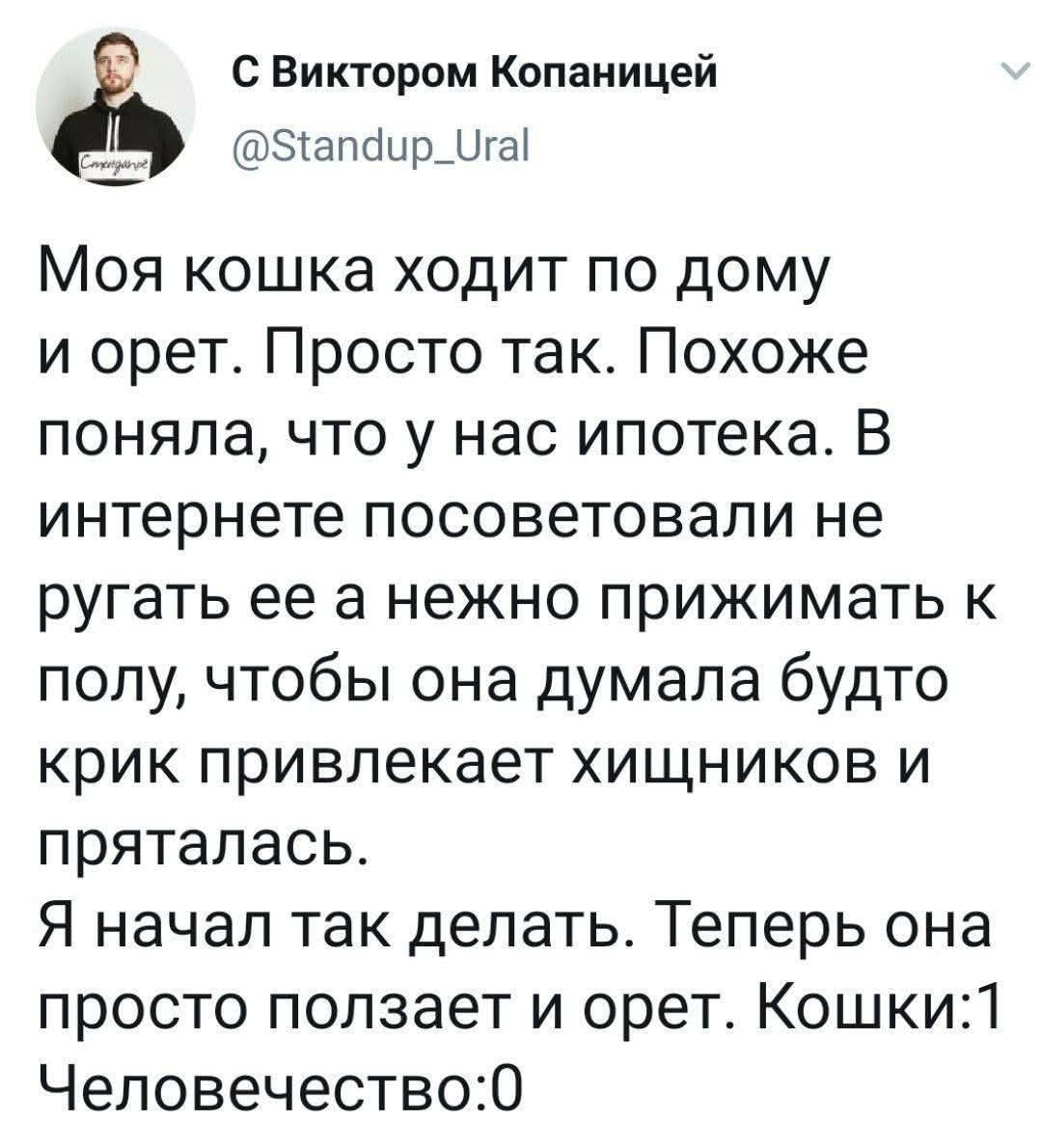 С Виктором Копаницей
@Standup_Ural

Моя кошка ходит по дому и орет. Просто так. Похоже поняла, что у нас ипотека. В интернете посоветовали не ругать ее а нежно прижимать к полу, чтобы она думала будто крик привлекает хищников и пряталась. Я начал так делать. Теперь она просто пользает и орет. Кошки:1 Человечество:0