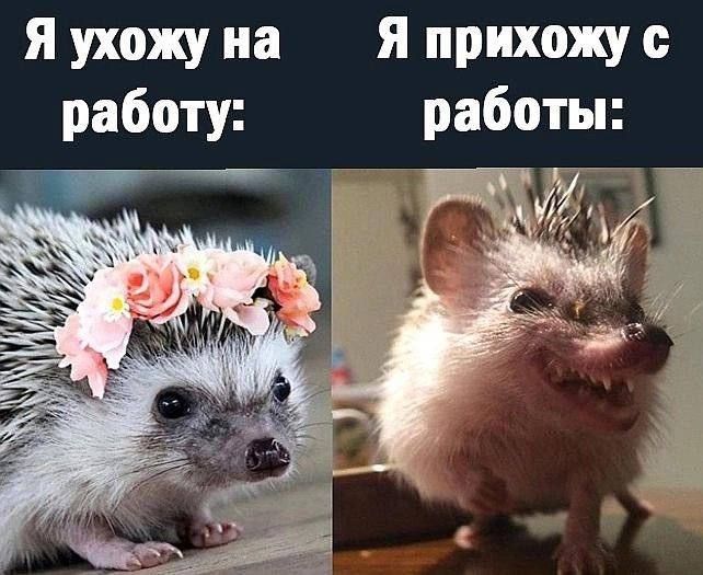 Я ухожу на работу:
Я прихожу с работы: