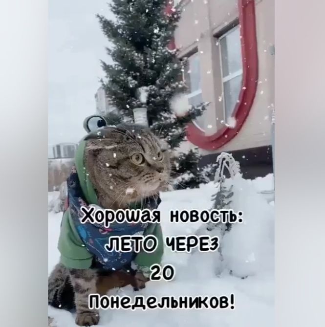 Хорошая новость: ЛЕТО ЧЕРЕЗ 20 ПОНЕДЕЛЬНИКОВ!