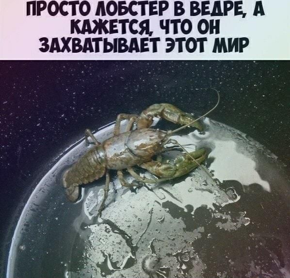 ПРОСТО ЛОБСТЕР В БЕДРЕ, А КАЖЕТСЯ, ЧТО ОН ЗАХВАТЫВАЕТ ЭТОТ МИР