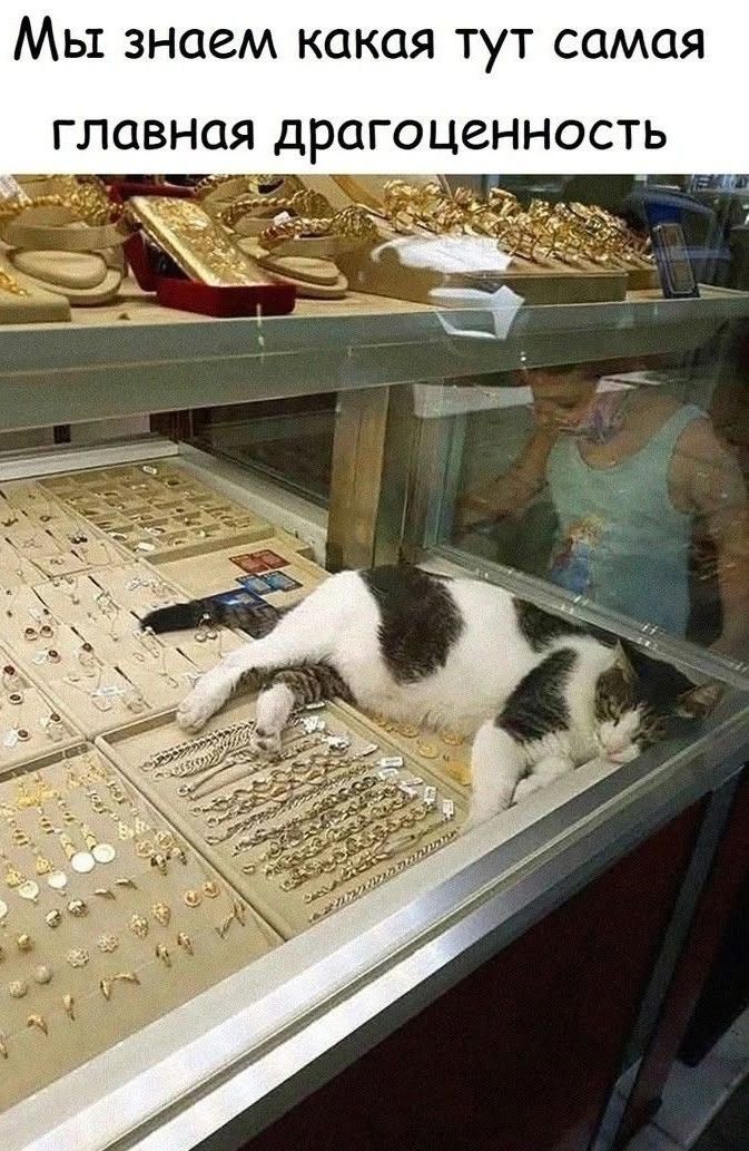 Мы знаем какая тут самая главная драгоценность