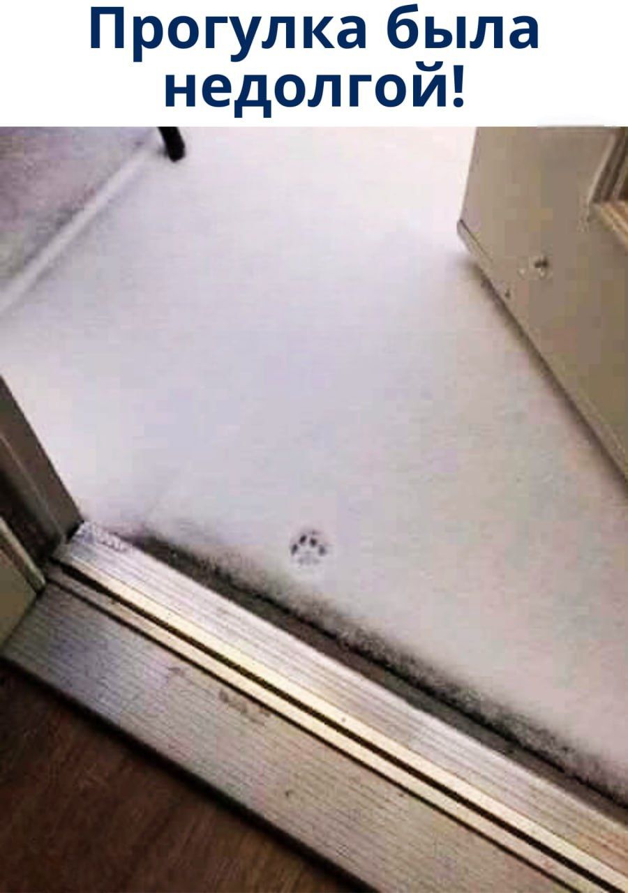 Прогулка была недолго!