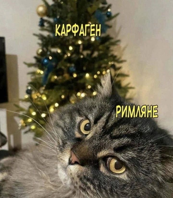КАРФАГЕН
РИМЛЯНЕ