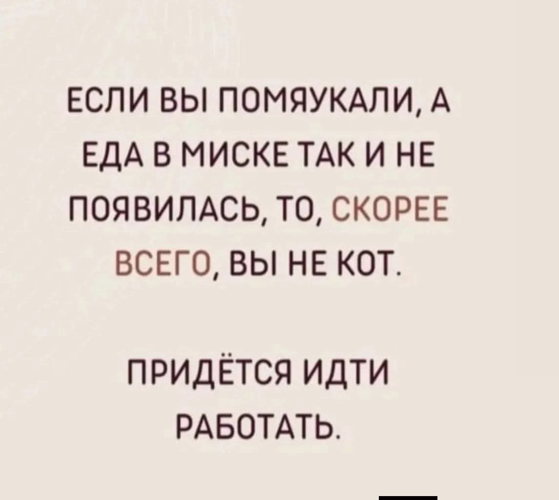ЕСЛИ ВЫ ПОМЯУКАЛИ, А ЕДА В МИСКЕ ТАК И НЕ ПОЯВИЛАСЬ, ТО, СКОРЕЕ ВСЕГО, ВЫ НЕ КОТ. ПРИДЁТСЯ ИДТИ РАБОТАТЬ.