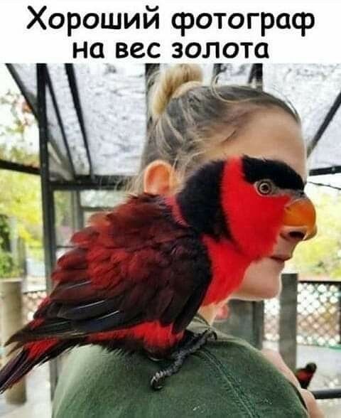 Хороший fotograf на вес золота