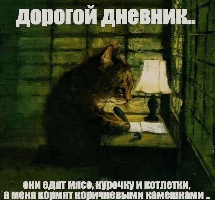 дорогой дневник..
они едят мясо, курочку и котлетки, а меня кормят коричневым камешками ..