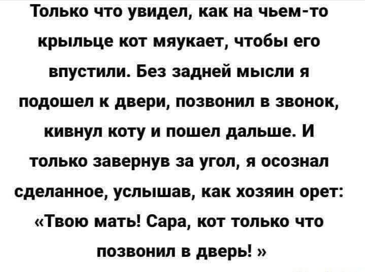 Только что увидел, как на чьем-то крыльце кот мяукает, чтобы его впустили. Без задней мысли я подошел к двери, позвонил в звонок, кивнул коту и пошел дальше. И только завернув за угол, я осознал сделанное, услышав, как хозяин орет: «Твою мать! Сара, кот только что позвонил в дверь!»