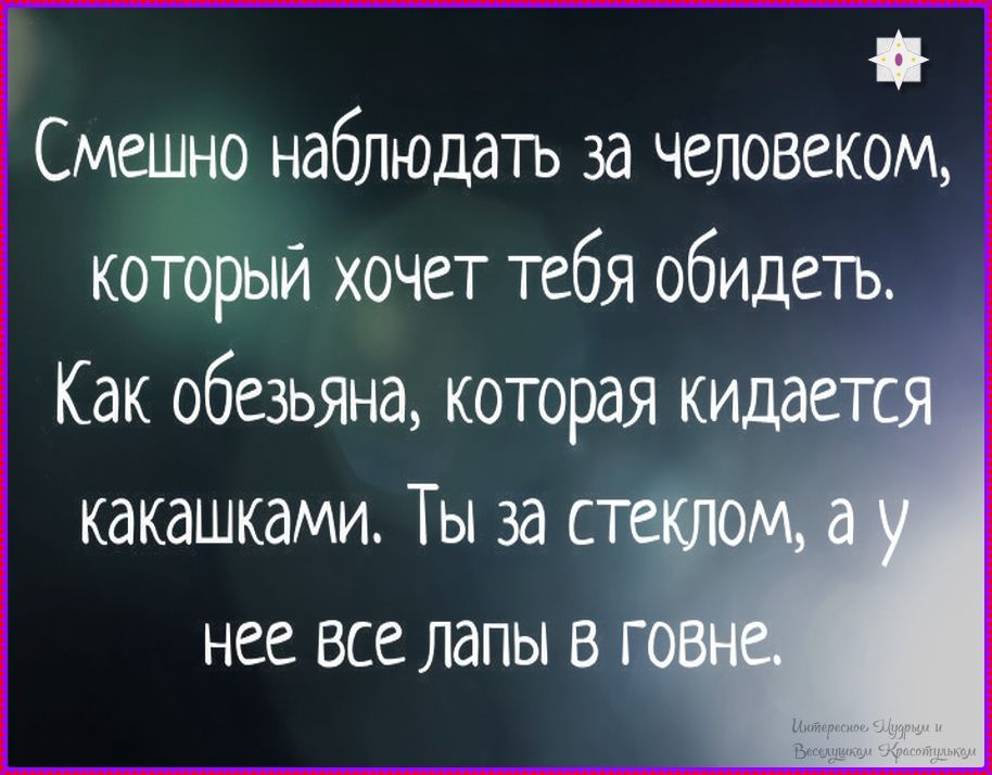 Смешно наблюдать за человеком, который хочет тебя обидеть. Как обезьяна, которая кидается какашками. Ты за стеклом, а у нее все лапы в говне.