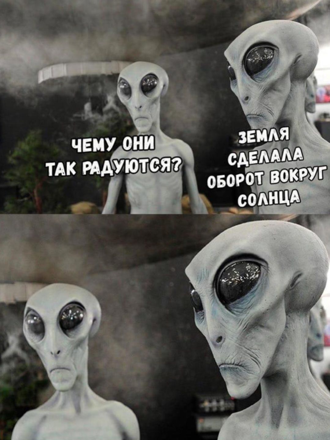 ЧЕМУ ОНИ ТАК РАДУЮТСЯ?
ЗЕМЛЯ СДЕЛАЛА ОБОРОТ ВОКРУГ СОЛНЦА