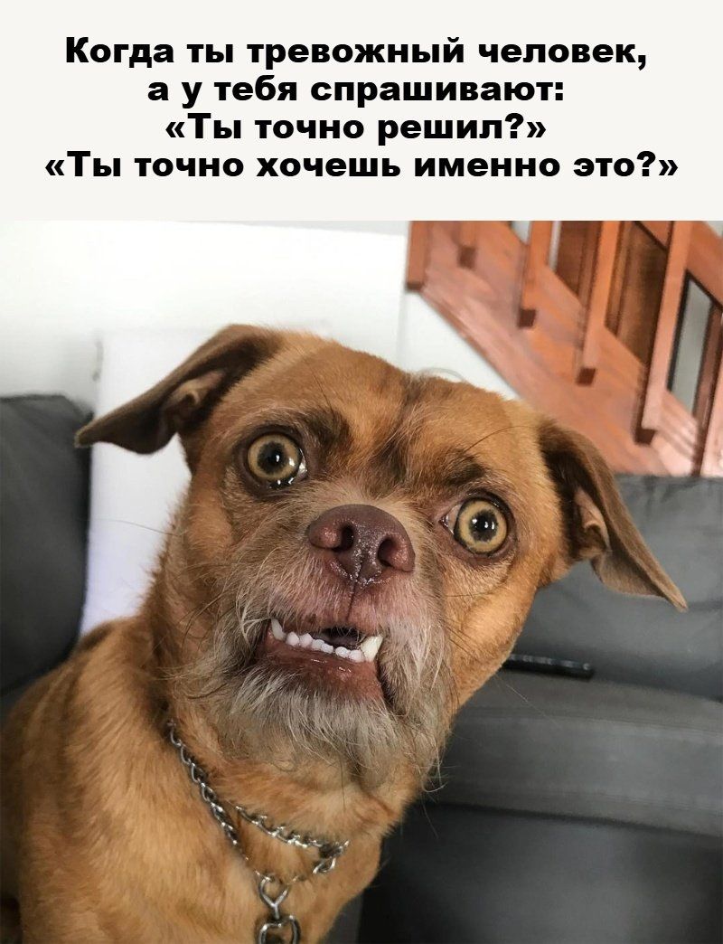 Когда ты тревожный человек, а у тебя спрашивают: «Ты точно решил?» «Ты точно хочешь именно это?»