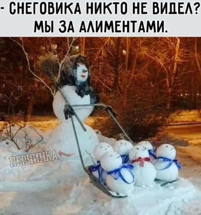 - СНЕГОВИКА НИКТО НЕ ВИДЕЛ? МЫ ЗА АЛИМЕНТАМИ. ПЕРЧИЧКА