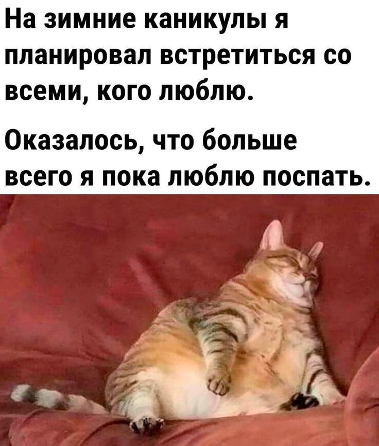 На зимние каникулы я планировал встретиться со всеми, кого люблю. Оказалось, что больше всего я пока люблю поспать.