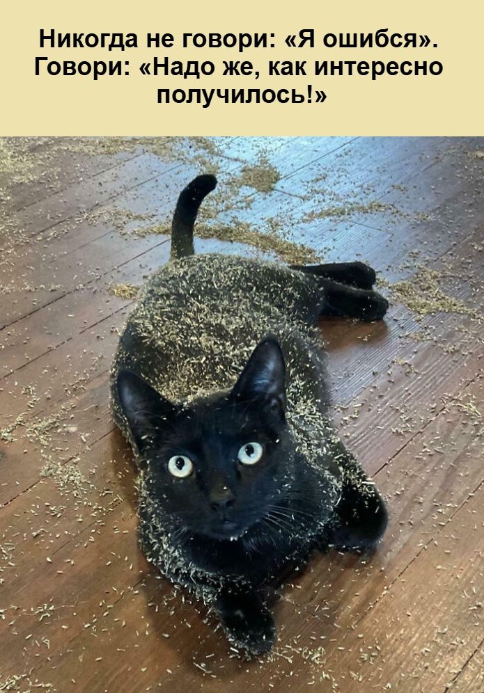 Никогда не говори: «Я ошибся». Говори: «Надо же, как интересно получилось!»