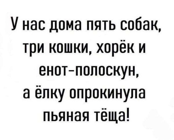 У нас дома пять собак, три кошки, хорёк и ёнот-полоскун, а ёлку опрокинула пьяная тёща!