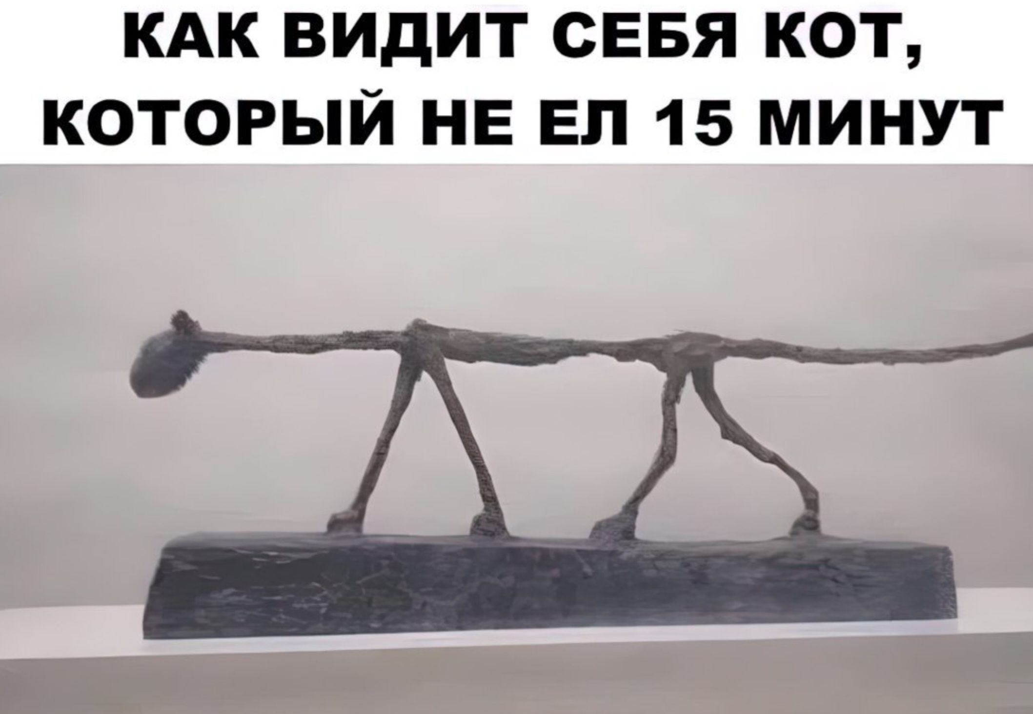 КАК ВИДИТ СЕБЯ КОТ, КОТОРЫЙ НЕ ЕЛ 15 МИНУТ