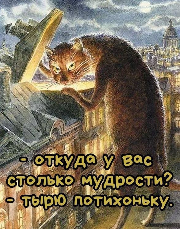 - откуда у вас столько мудрости? - тырю потихоньку.